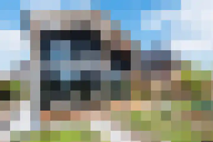 Roode Hert 15 Zeewolde thumbnail 74