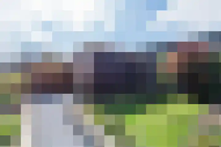 Roode Hert 15 Zeewolde thumbnail 75