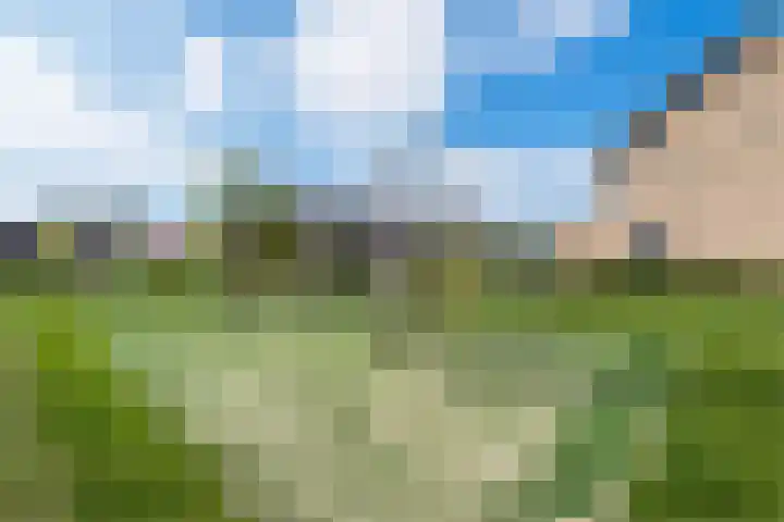 Roode Hert 15 Zeewolde thumbnail 76