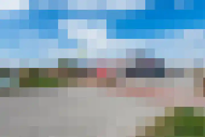 Roode Hert 15 Zeewolde thumbnail 77