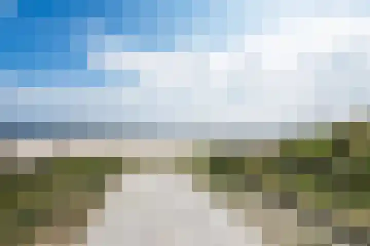 Roode Hert 15 Zeewolde thumbnail 78