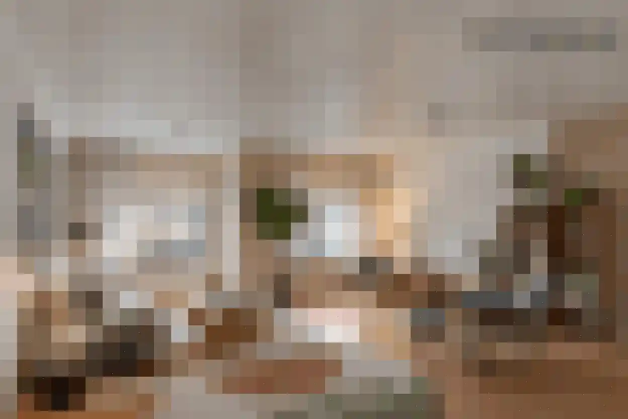 Roode Leeuw 14 Schoorl thumbnail 10
