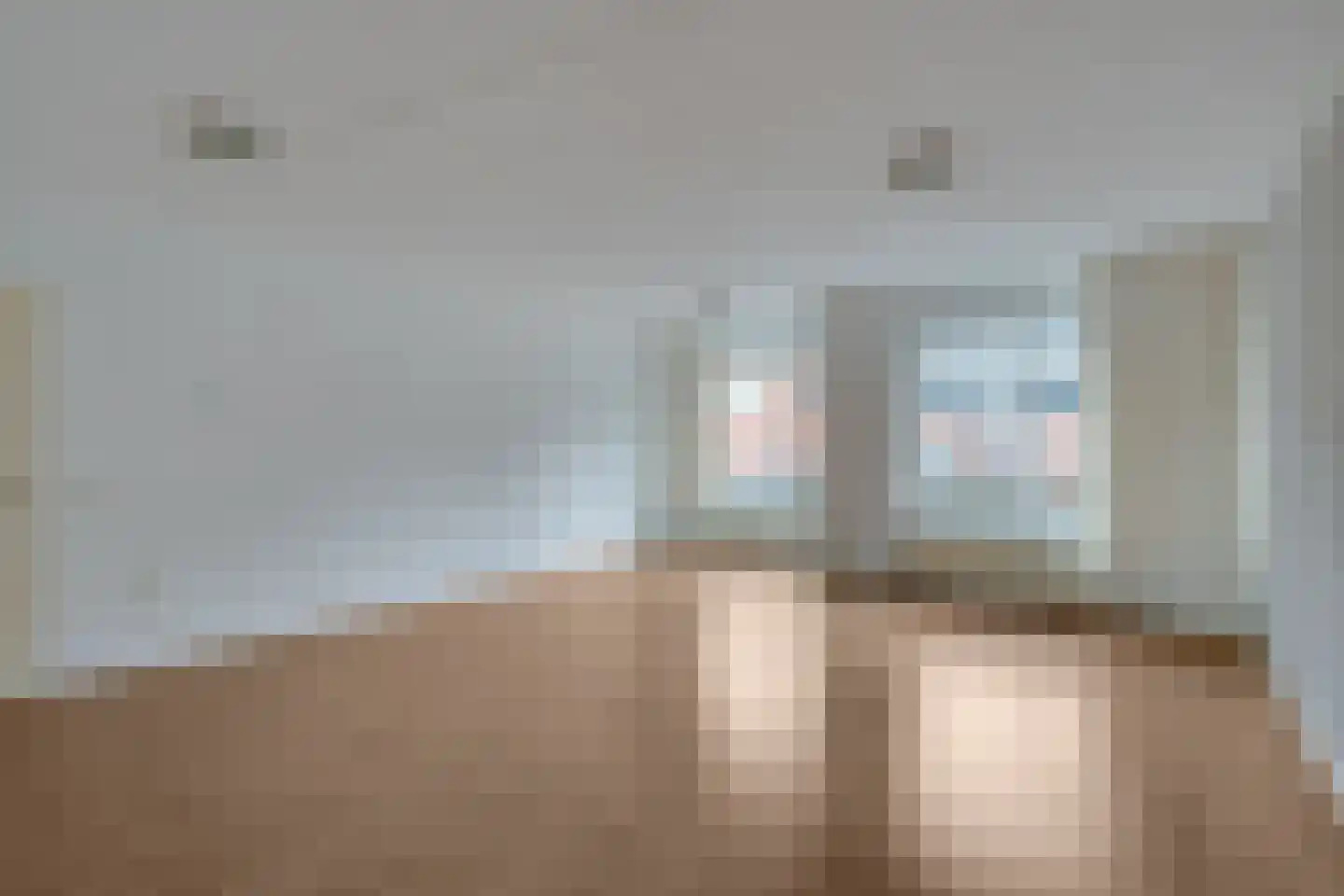 Roode Leeuw 14 Schoorl thumbnail 11