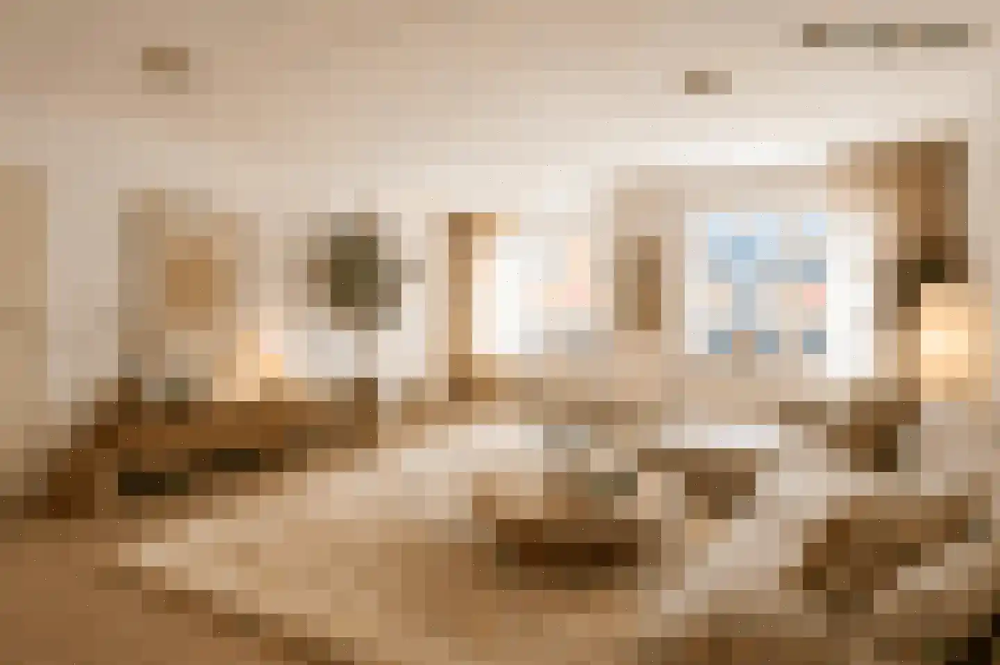 Roode Leeuw 14 Schoorl thumbnail 12