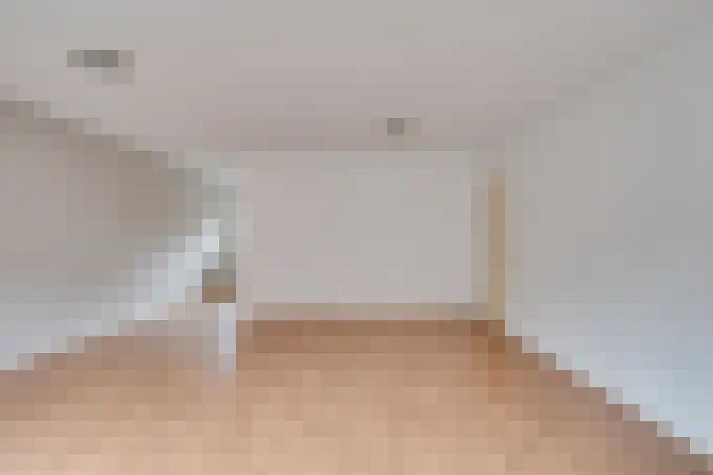 Roode Leeuw 14 Schoorl thumbnail 13