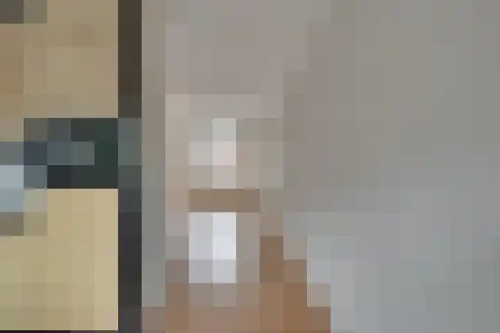 Roode Leeuw 14 Schoorl thumbnail 18
