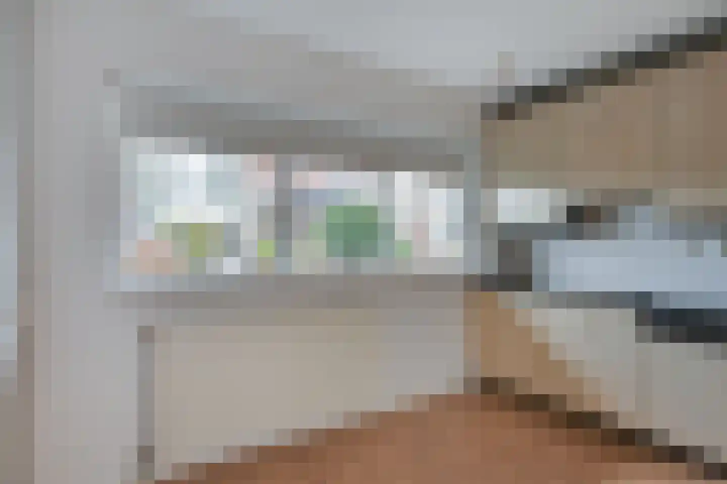 Roode Leeuw 14 Schoorl thumbnail 18