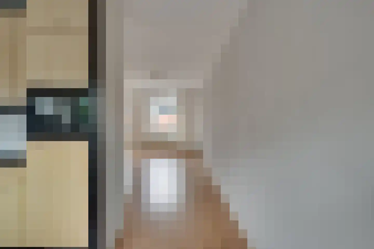 Roode Leeuw 14 Schoorl thumbnail 19
