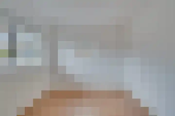 Roode Leeuw 14 Schoorl thumbnail 20