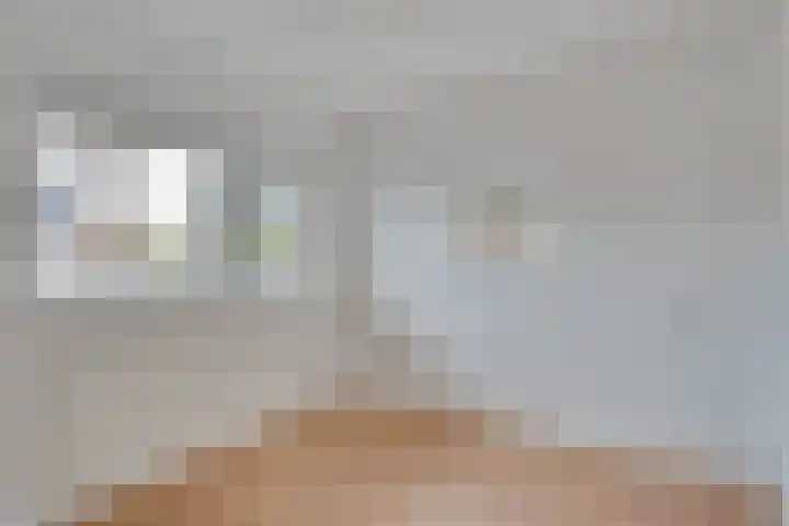 Roode Leeuw 14 Schoorl thumbnail 21