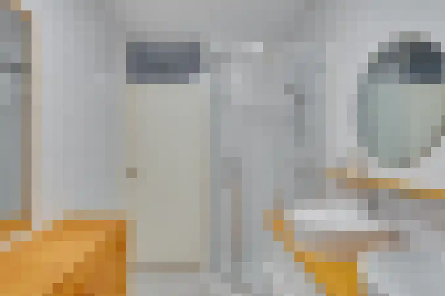 Roode Leeuw 14 Schoorl thumbnail 23