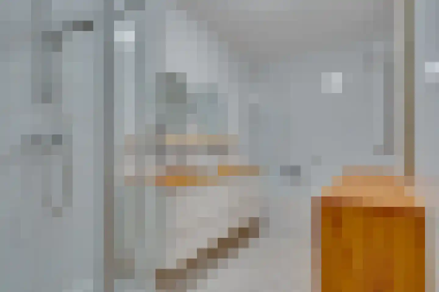 Roode Leeuw 14 Schoorl thumbnail 23