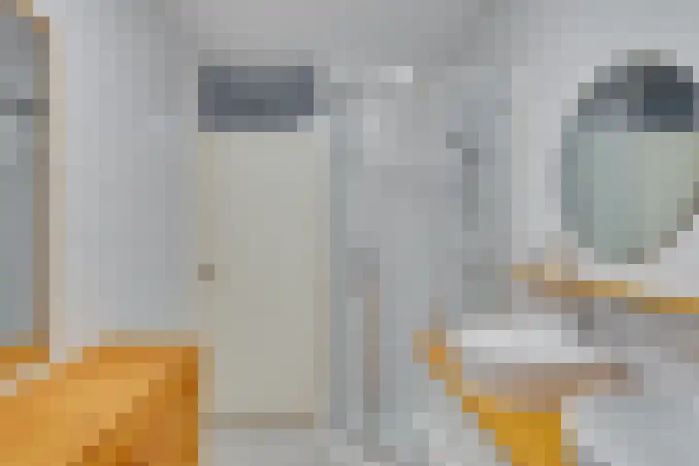 Roode Leeuw 14 Schoorl thumbnail 24