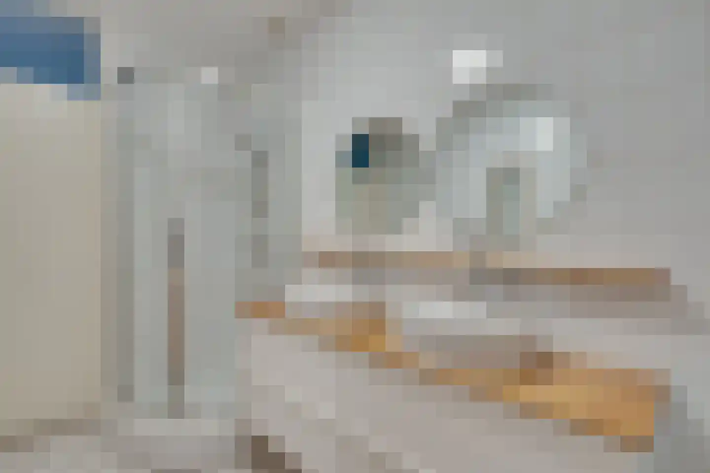 Roode Leeuw 14 Schoorl thumbnail 25