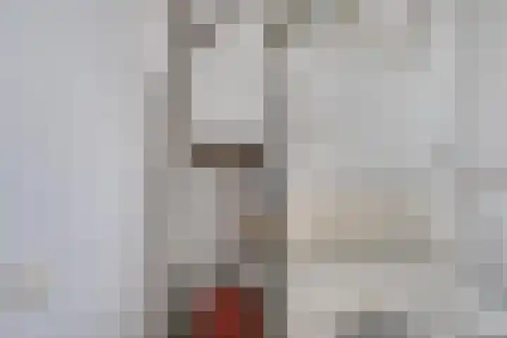 Roode Leeuw 14 Schoorl thumbnail 28