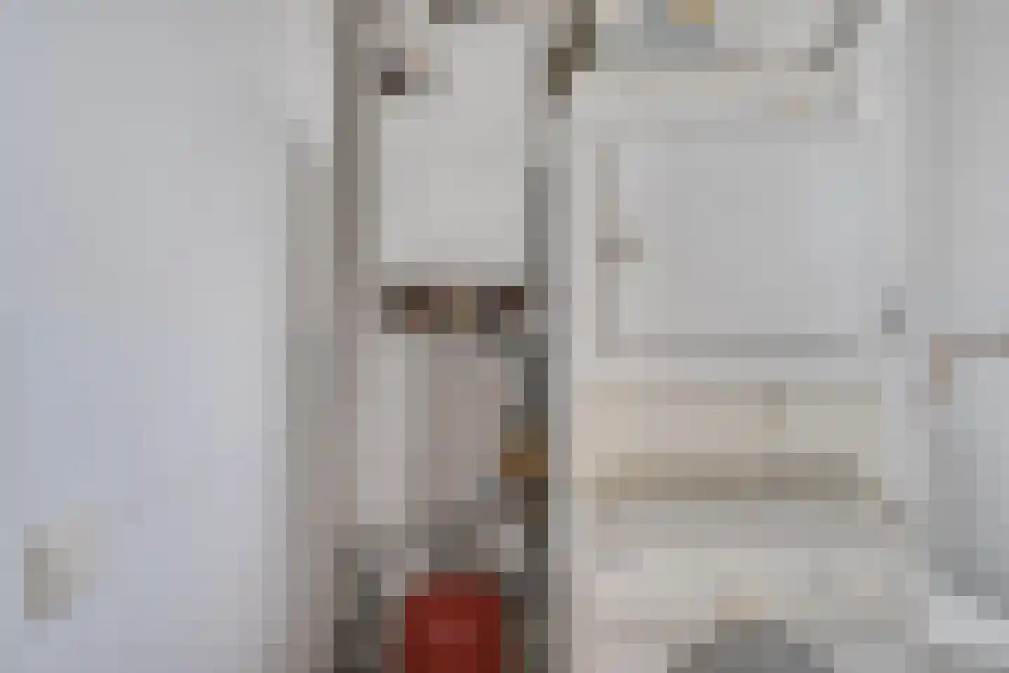 Roode Leeuw 14 Schoorl thumbnail 29