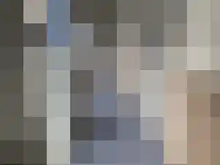 Roode Leeuw 14 Schoorl thumbnail 31