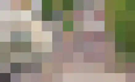 Roode Leeuw 14 Schoorl thumbnail 32