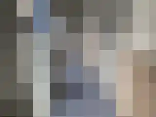 Roode Leeuw 14 Schoorl thumbnail 32