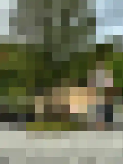Roode Leeuw 14 Schoorl thumbnail 33