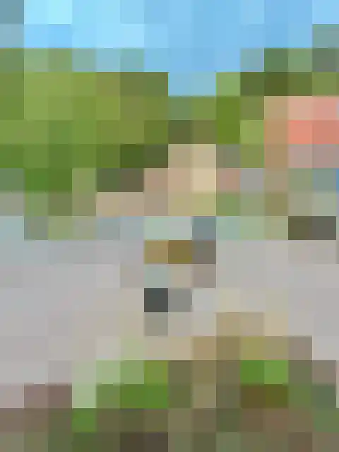 Roode Leeuw 14 Schoorl thumbnail 34