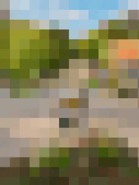 Roode Leeuw 14 Schoorl thumbnail 35
