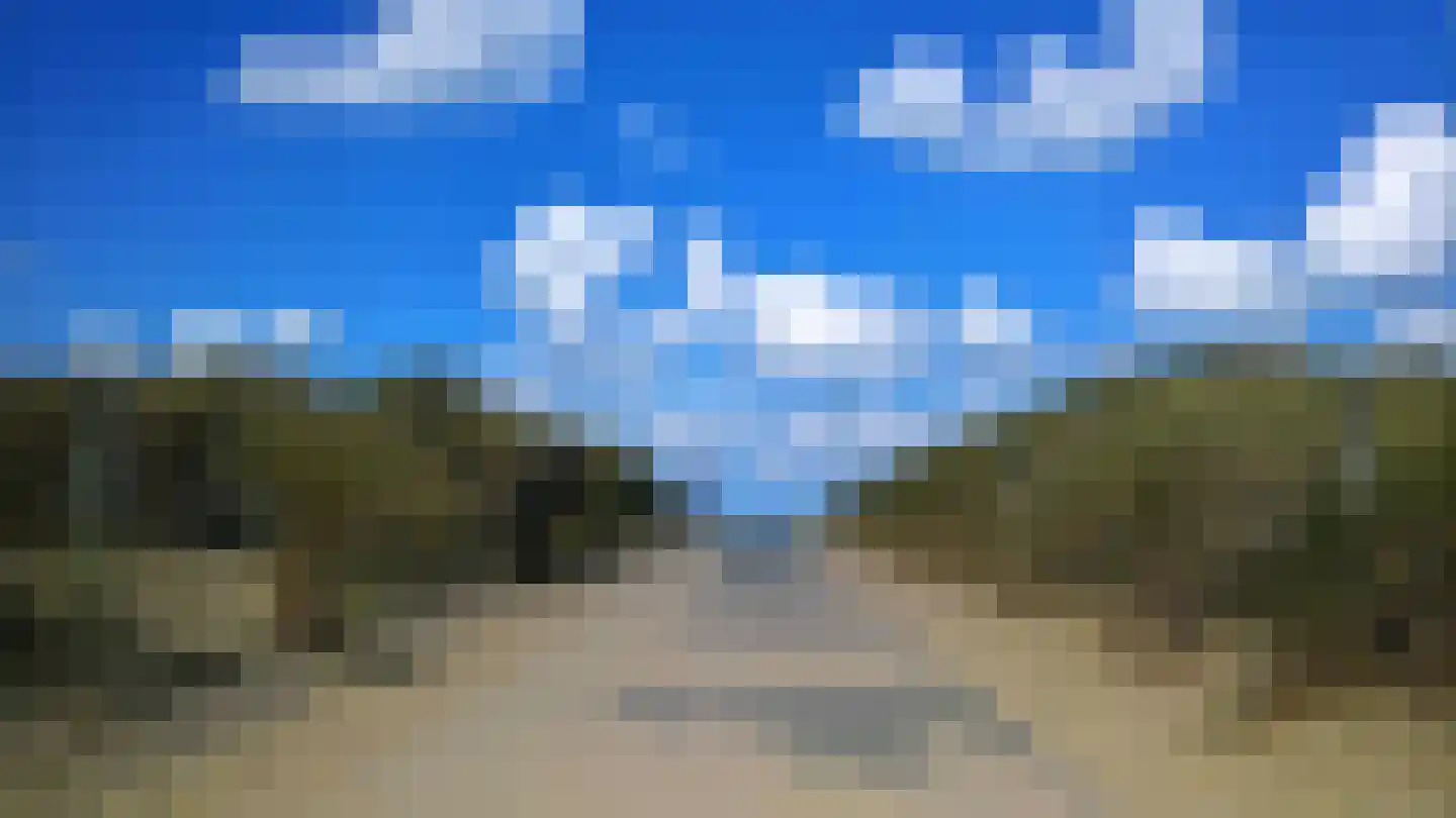 Roode Leeuw 14 Schoorl thumbnail 35