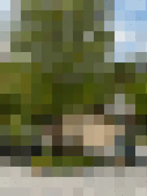 Roode Leeuw 14 Schoorl thumbnail 36