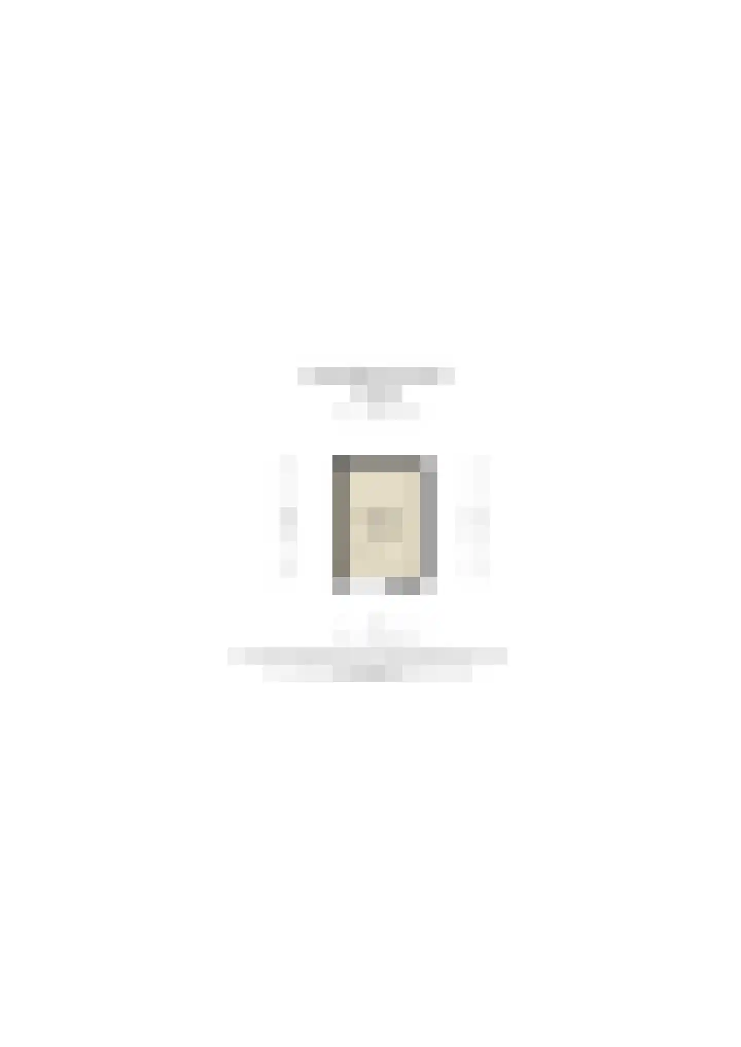 Roode Leeuw 14 Schoorl thumbnail 38