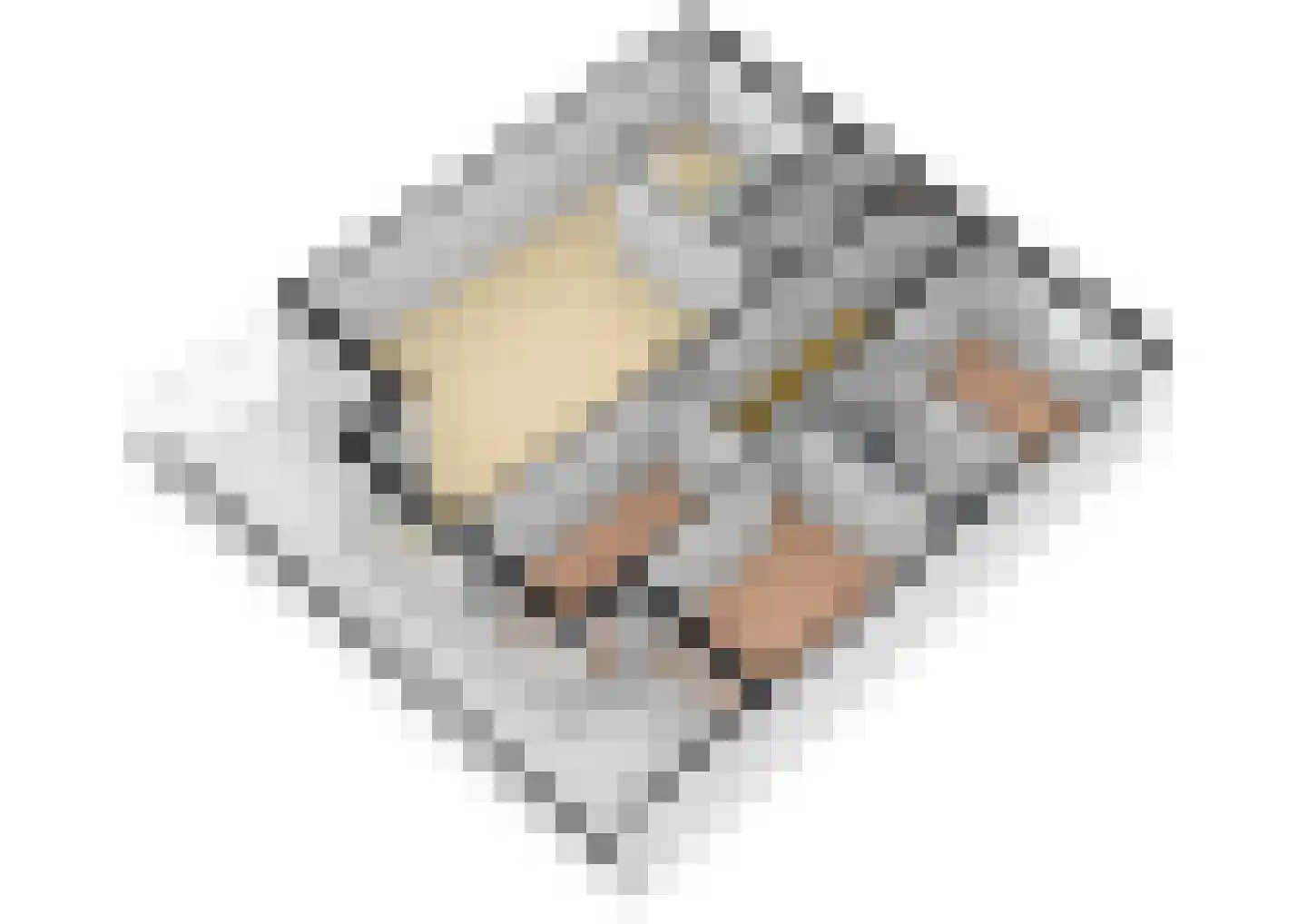 Roode Leeuw 14 Schoorl thumbnail 39