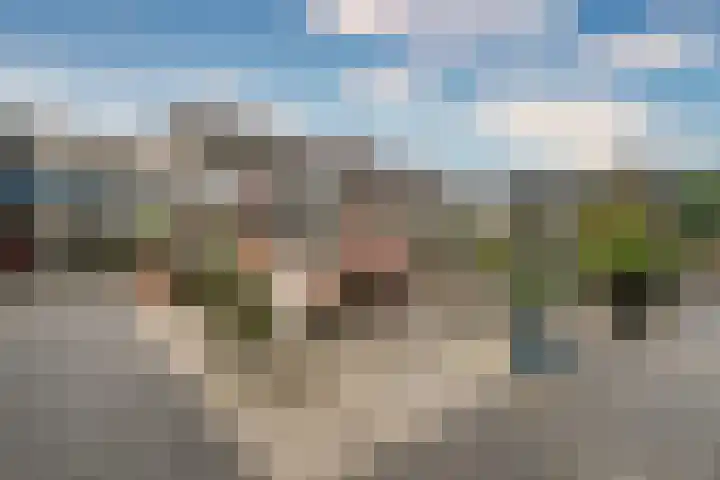 Roode Leeuw 14 Schoorl thumbnail 4