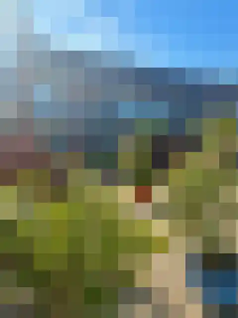 Roode Leeuw 14 Schoorl thumbnail 4