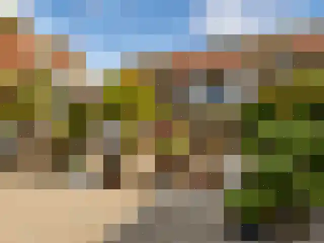 Roode Leeuw 14 Schoorl thumbnail 4