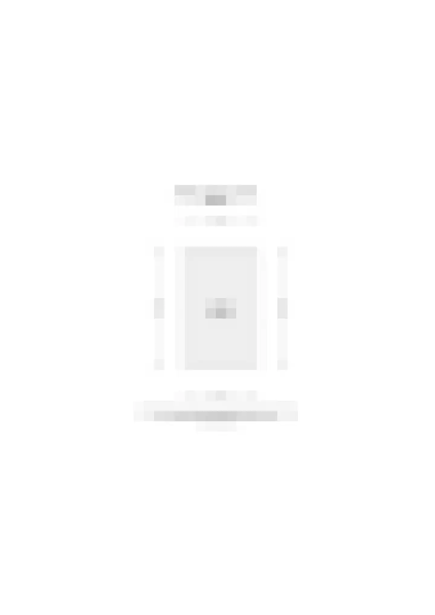 Roode Leeuw 14 Schoorl thumbnail 40