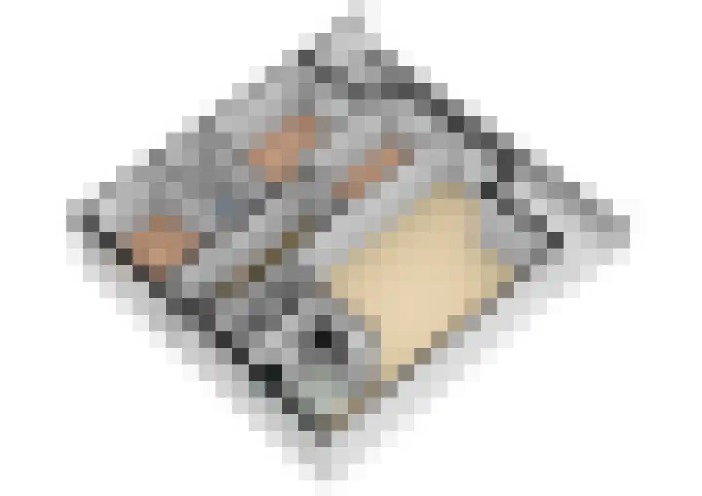 Roode Leeuw 14 Schoorl thumbnail 42