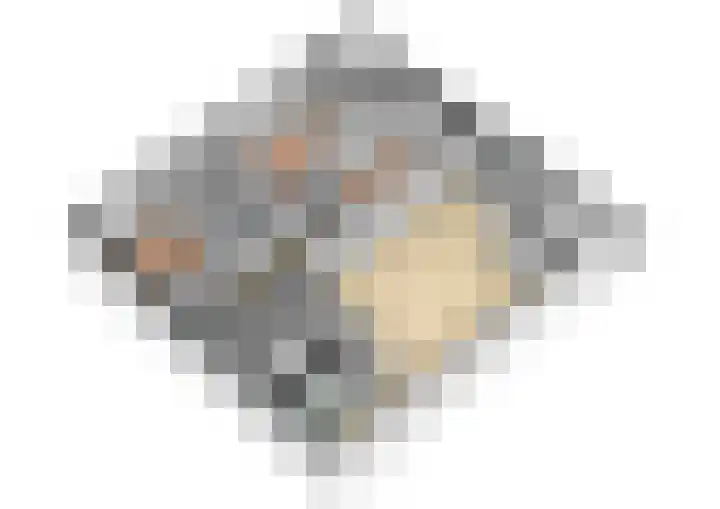 Roode Leeuw 14 Schoorl thumbnail 43