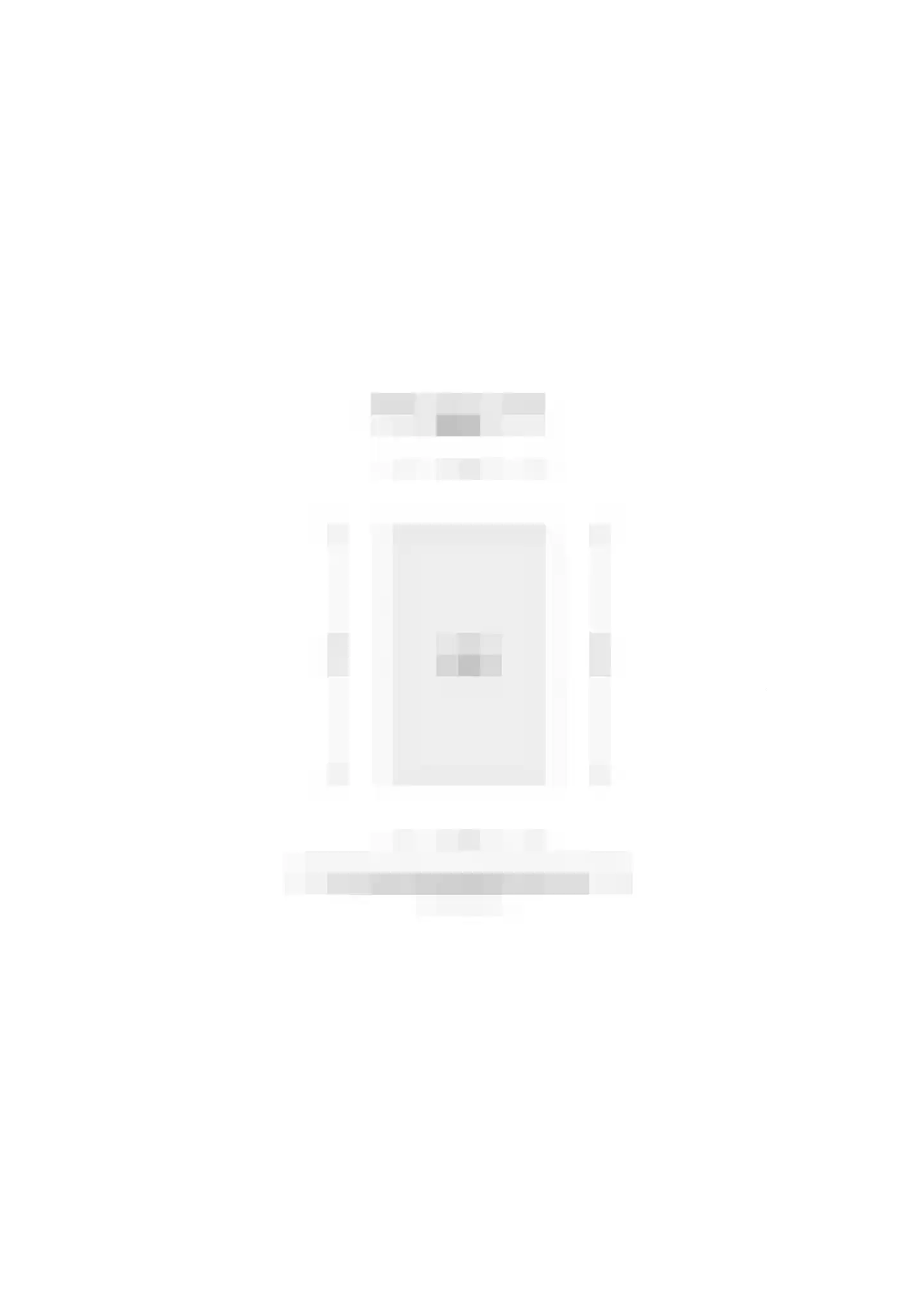 Roode Leeuw 14 Schoorl thumbnail 45