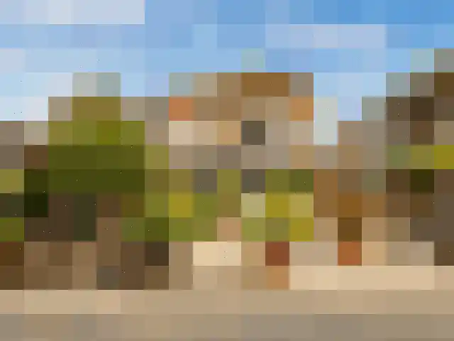 Roode Leeuw 14 Schoorl thumbnail 5
