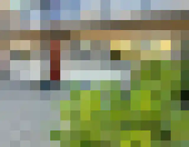 Roode Leeuw 14 Schoorl thumbnail 5
