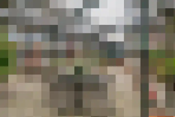 Roode Leeuw 14 Schoorl thumbnail 6