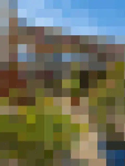 Roode Leeuw 14 Schoorl thumbnail 6