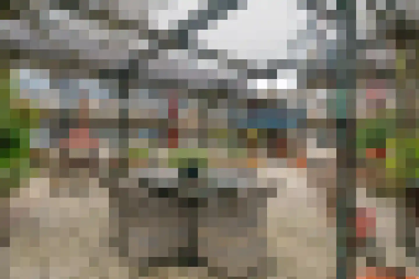 Roode Leeuw 14 Schoorl thumbnail 6