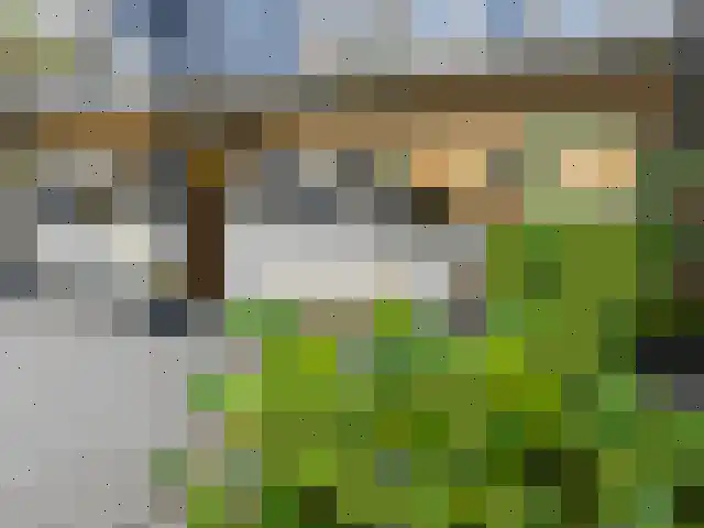Roode Leeuw 14 Schoorl thumbnail 7