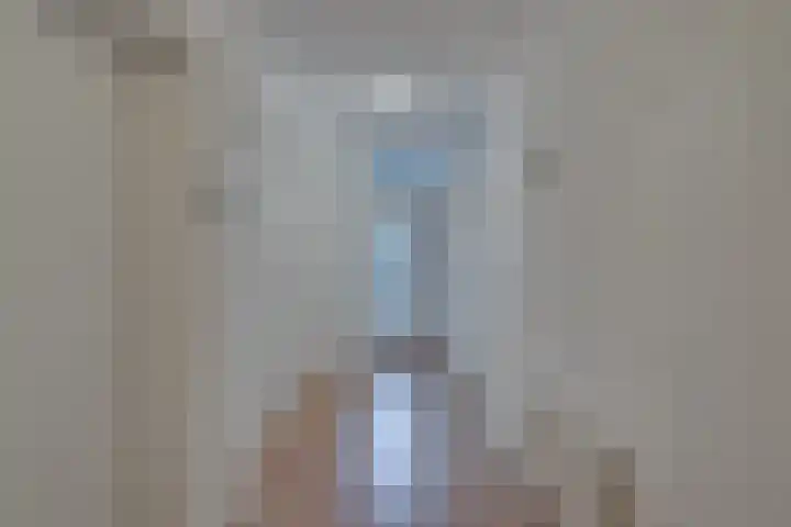 Roode Leeuw 14 Schoorl thumbnail 9