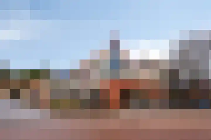 Roode Leeuw 6 Schoorl