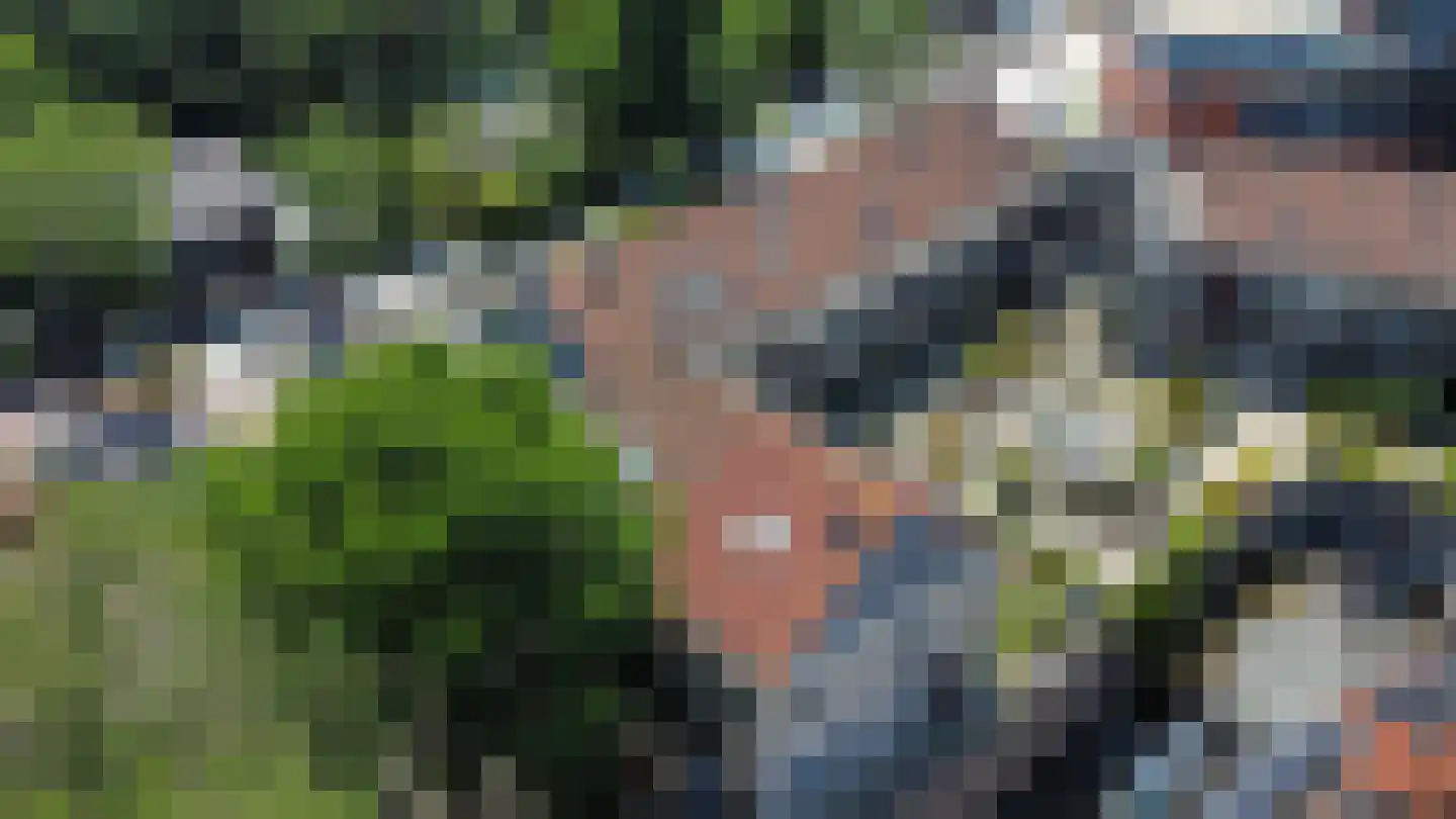 Roode Leeuw 6 Schoorl thumbnail 10