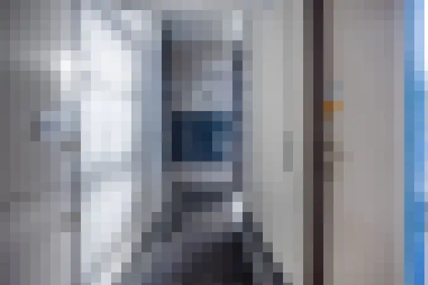 Roode Leeuw 6 Schoorl thumbnail 11
