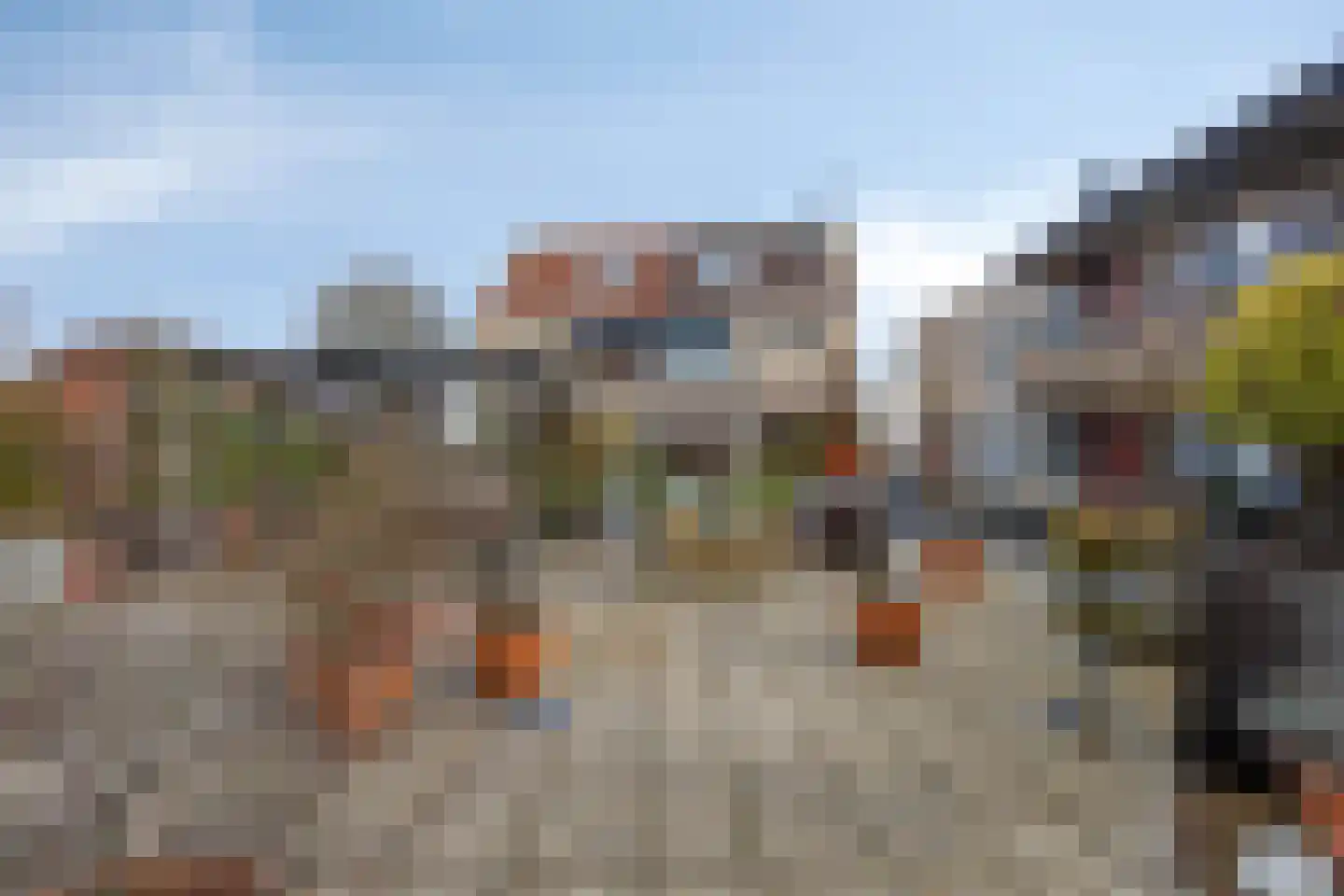 Roode Leeuw 6 Schoorl thumbnail 13
