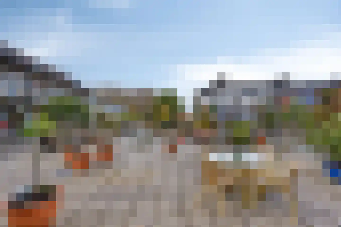Roode Leeuw 6 Schoorl thumbnail 14
