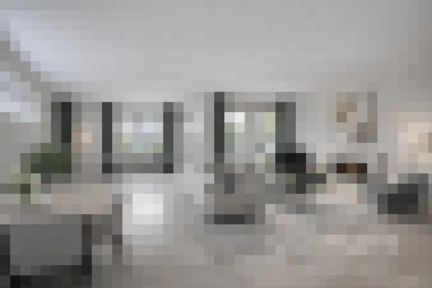 Roode Leeuw 6 Schoorl thumbnail 15